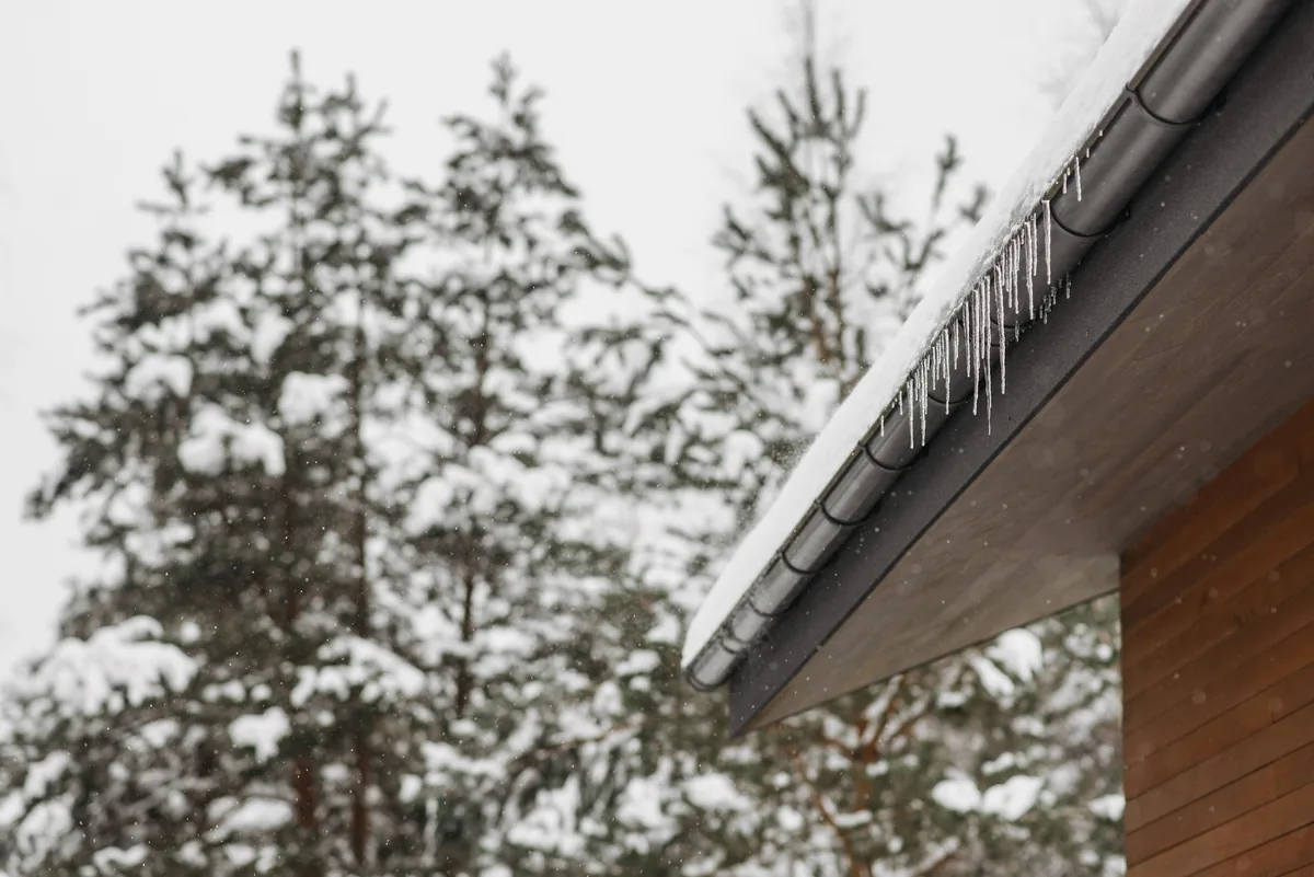 A snow-covered roof edge with a row of icicles hanging along the eave, snow-laden pine trees in the background